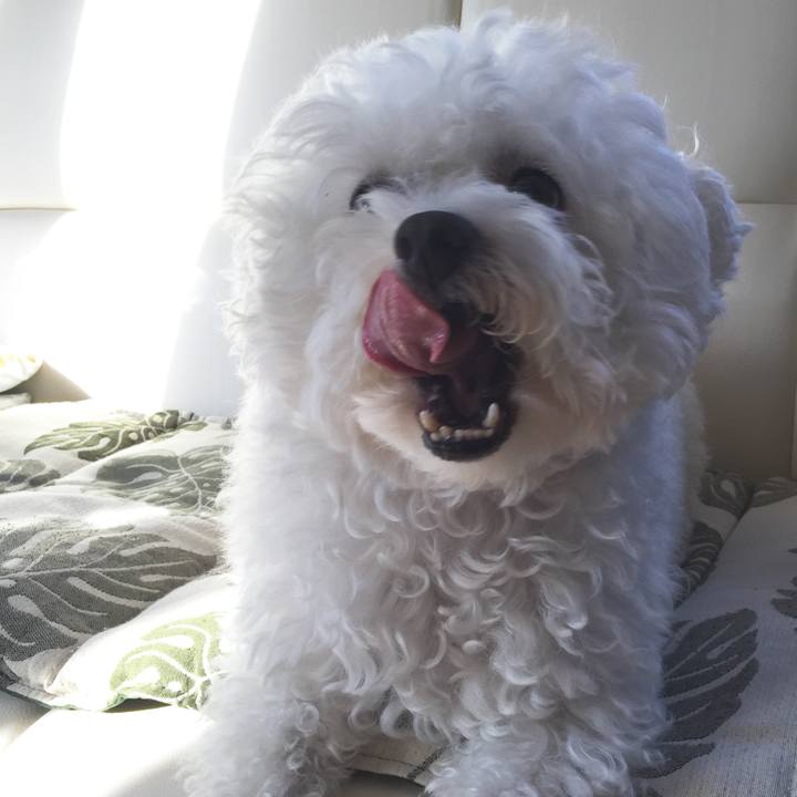 49fcc5e2 ee6a 444a b4a8 4a7f2c53bada