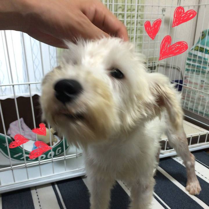 49fd00d0 b427 45da 94a3 fb50999bae30