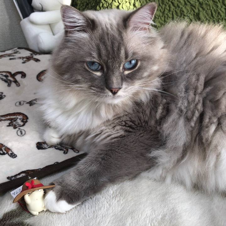 49fd2ecc b550 4846 a9b2 1fdccdf5c7d4