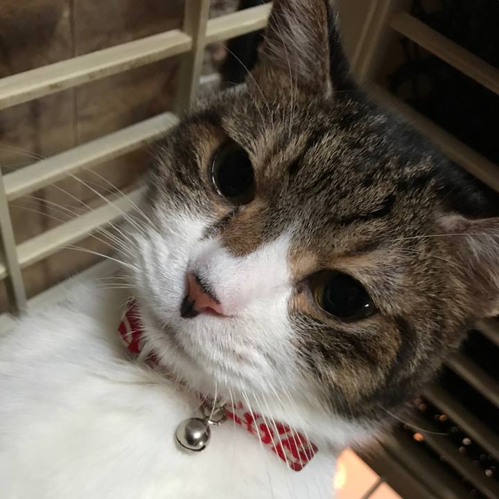 49fe1e74 9b30 432a b687 5ce37c14f1d6