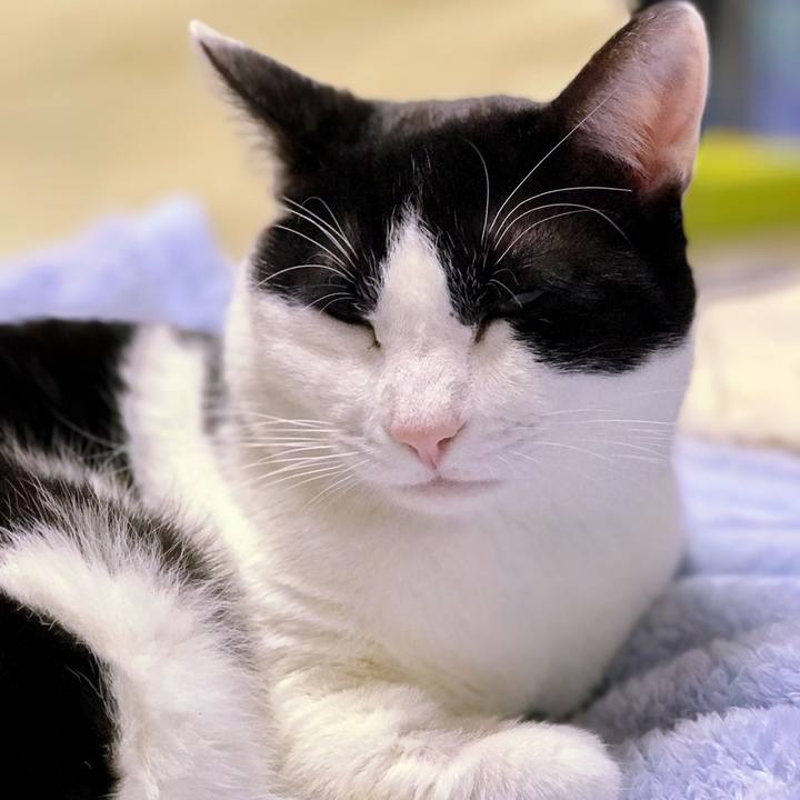 49fe76b2 b675 42b1 aab5 d7b6a6727770