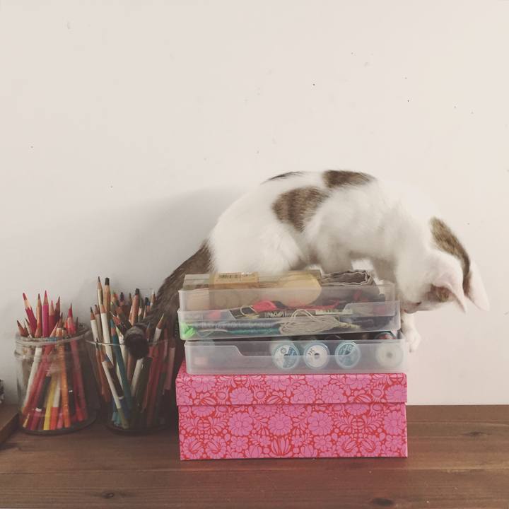 49fea515 d3d0 4b56 90c4 3c71c16e5bbb