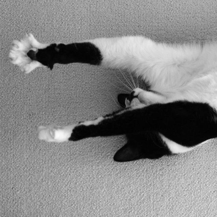 49ff2998 2fcf 4bdd bde7 65c1796159a1