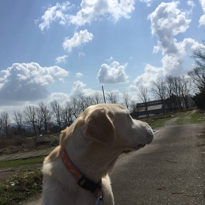 49ff5e28 42bd 4b06 bdcc 217eed8e6127