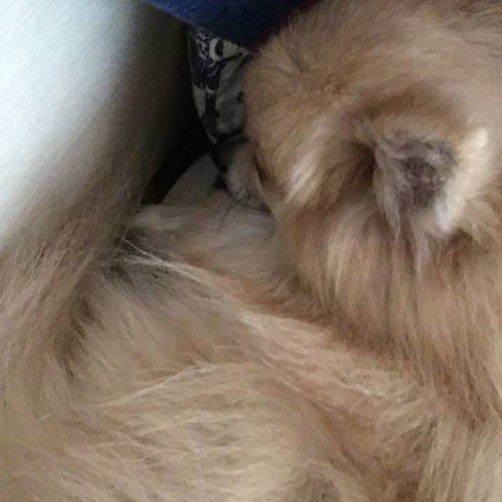 49ffa6a1 8e31 446b 93d7 75b70d31f1ec