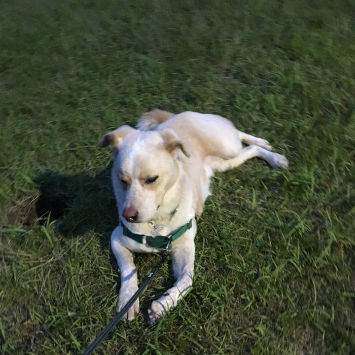 49ffcc80 5763 41cc a648 fe59e9ec1ecd