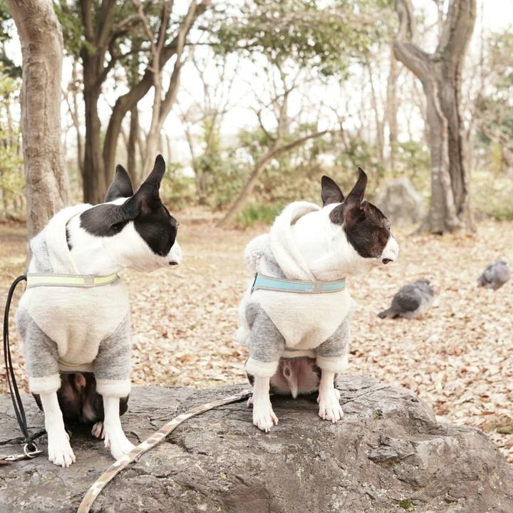 4a00dde1 16a0 4b7e 8f1f 22e690f5718b