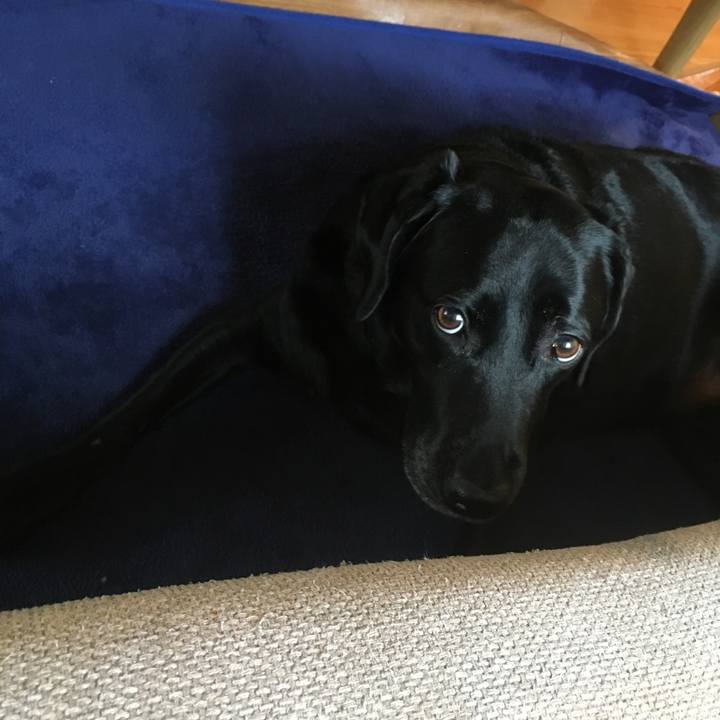 4a010c26 41fb 47ec ae6c adf27ebb0272