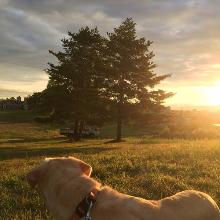 4a01320e 3bd3 443d b637 d1bd64f58746