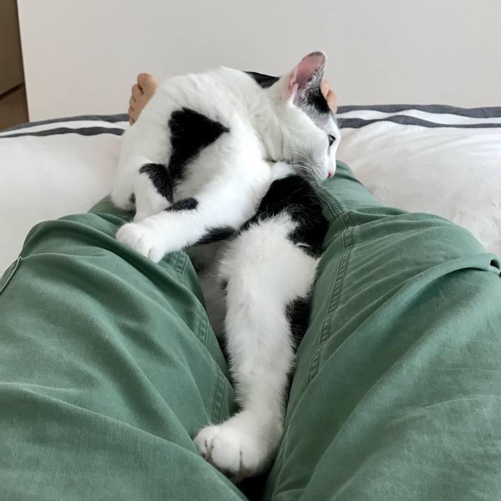 4a020b2c ed4c 407b a30e 5bf7071d6591