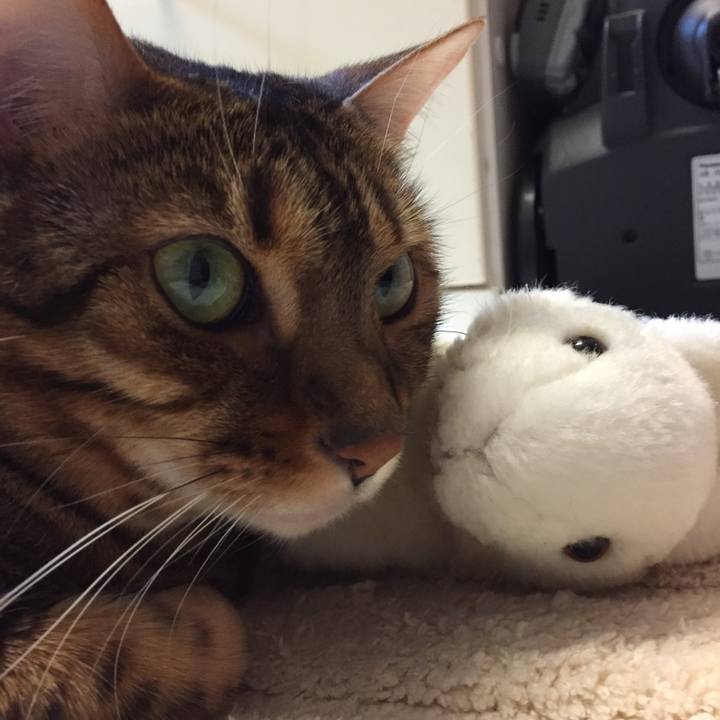 4a028276 acfe 4339 9dc4 7b89186e0dd3