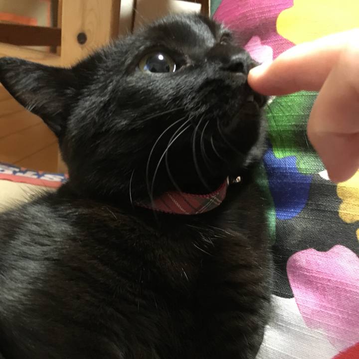 4a032777 df29 4359 8a88 62f32985c278