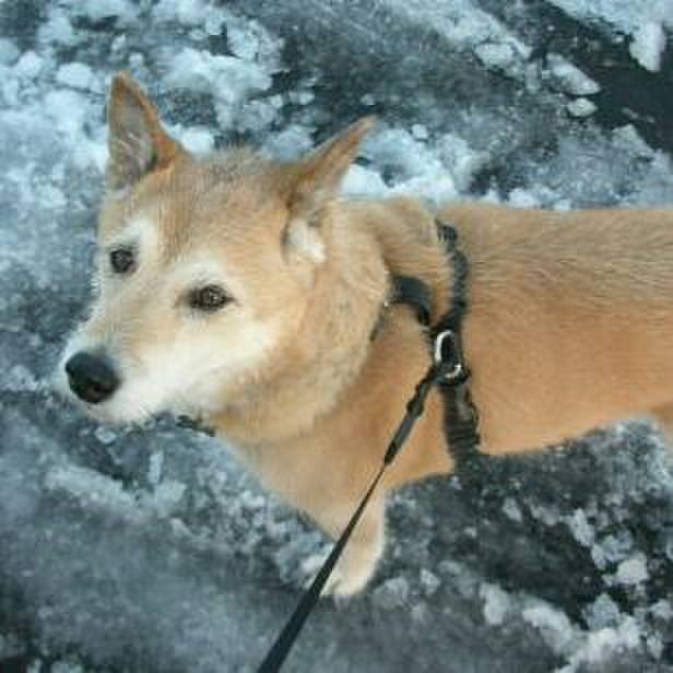 4a033237 b72e 48c5 ba9f 847b0ec95b25