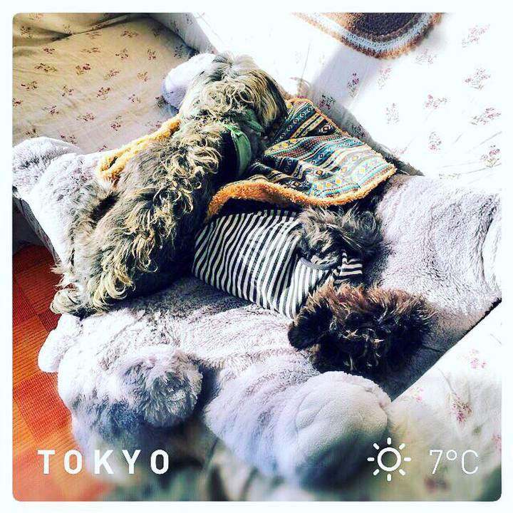 4a03e62a 0630 4864 9835 e3bf70566fd3