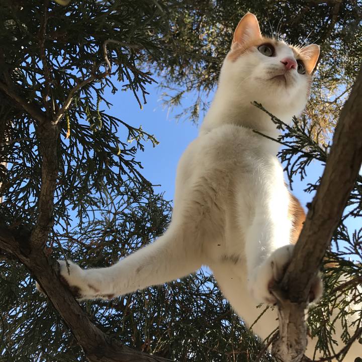 4a03fac5 2ec6 4365 b9b0 6e264cd9ad60