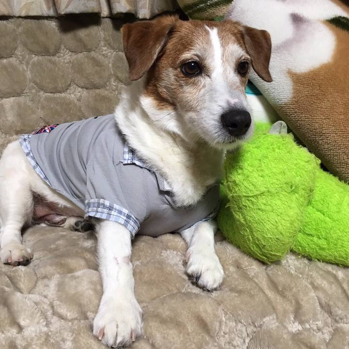 4a0438f6 3acb 4eaa 9cbb 3e91a95be274