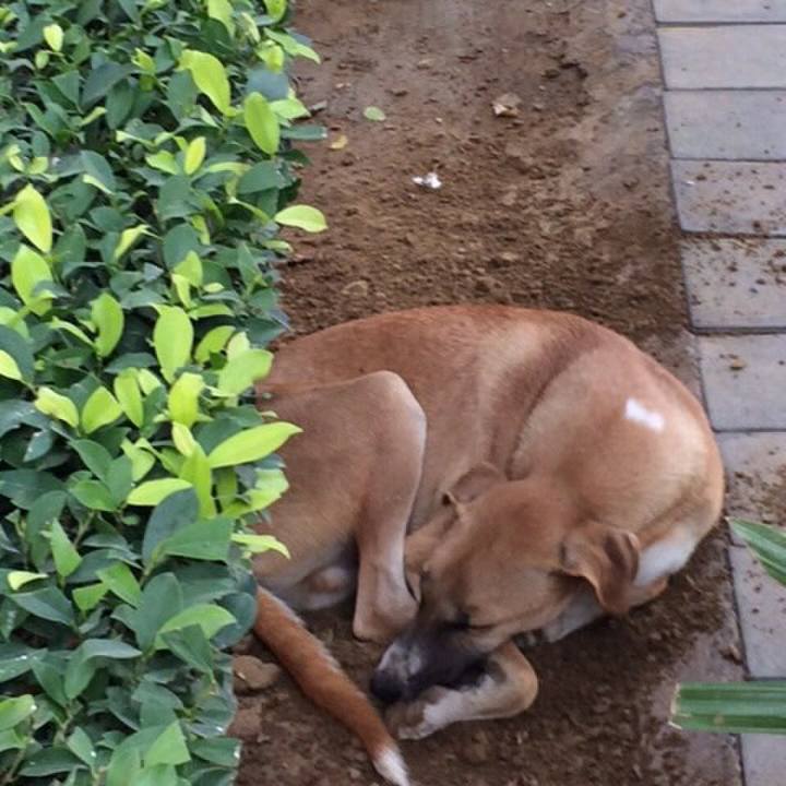 4a056298 405e 4a42 b7a6 84059fbb98b9