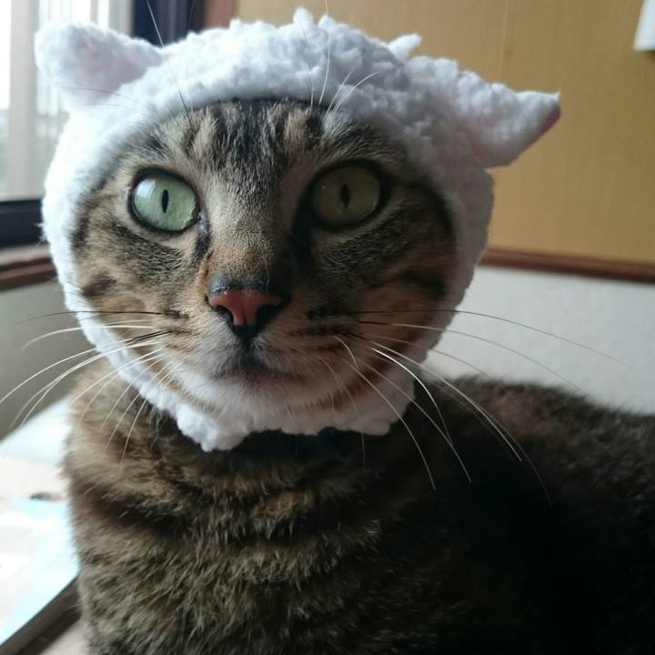 4a06a634 d8c2 4a49 a326 f336f1e6199d