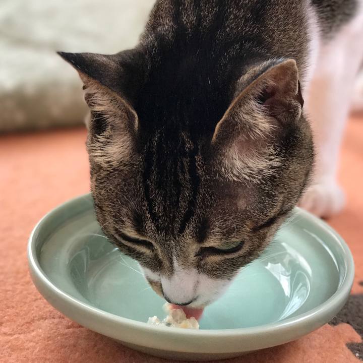 4a06c062 1149 4d51 a439 ad8a416bdecb