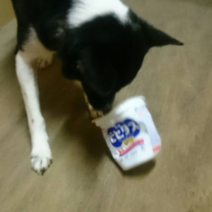 4a06ef06 5c42 46e3 be06 fbeefb4e7362