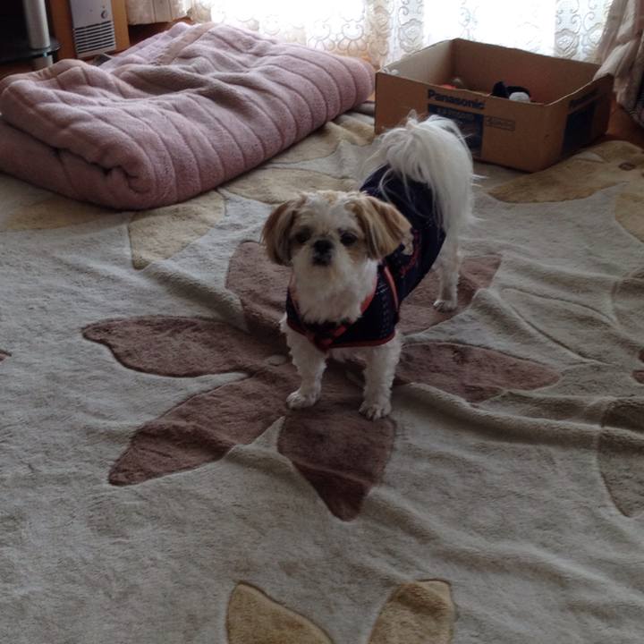 4a075379 6a5b 4121 9518 7b0c29edcd4f