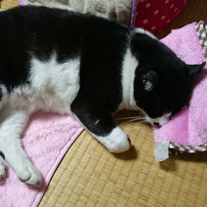 4a07c8d6 25f9 4916 a0af fdb530d91d7c