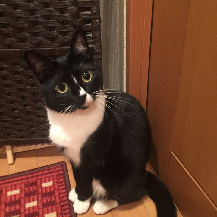 4a07eaea 2f7c 4f6e b8c5 5da9ba5728cc