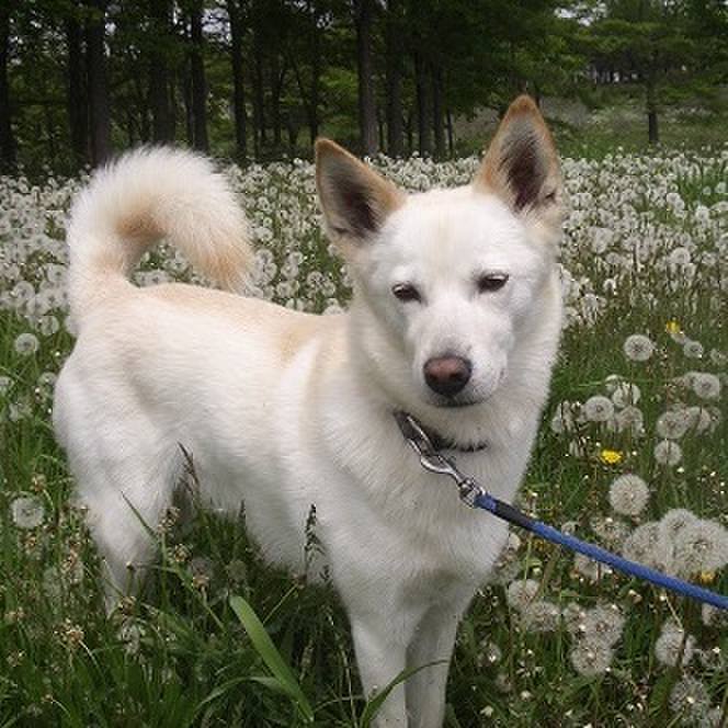 4a08b795 c051 4e5c bc4a 6f076d17bfc6