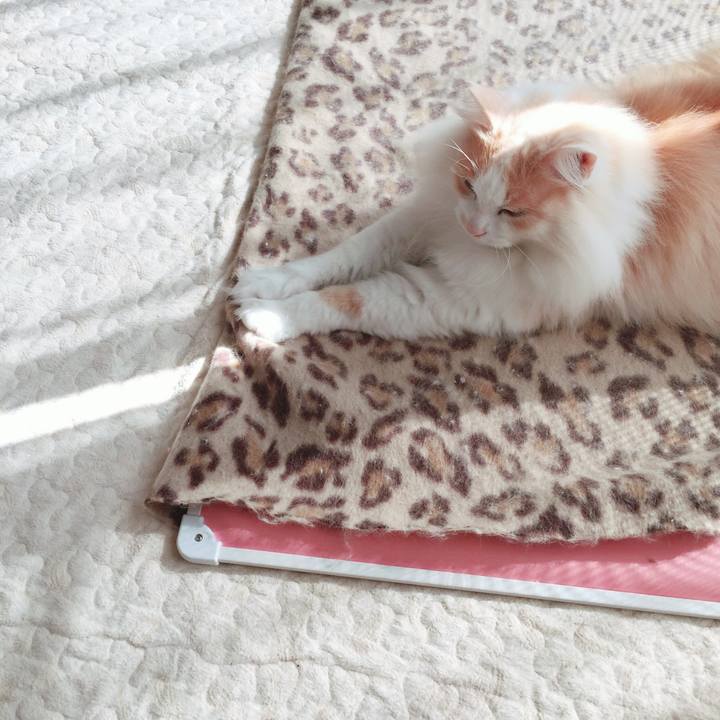 4a08d85f 948d 40cc 980e e968fd152d0f