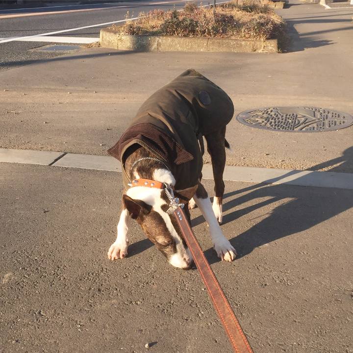 4a08f220 4090 45c9 bd61 f6547bb2ed14