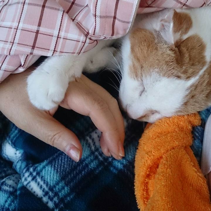 4a0a8034 9439 4e53 814b 122090a16bee