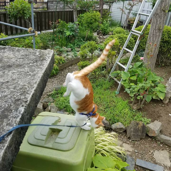 4a0aad81 7fbf 4a21 a725 e6b4cdc4d3c9