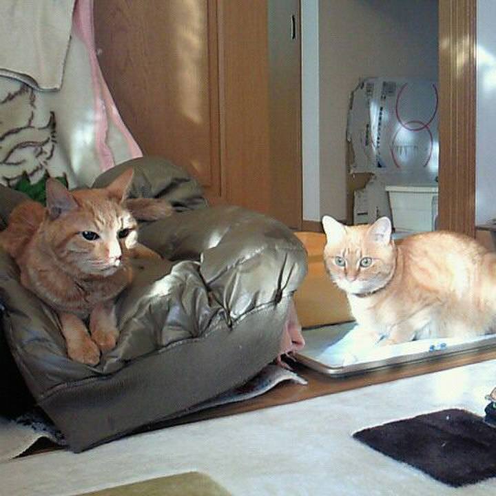 4a0b6601 3ee5 4083 aea4 21afdbfe4b55