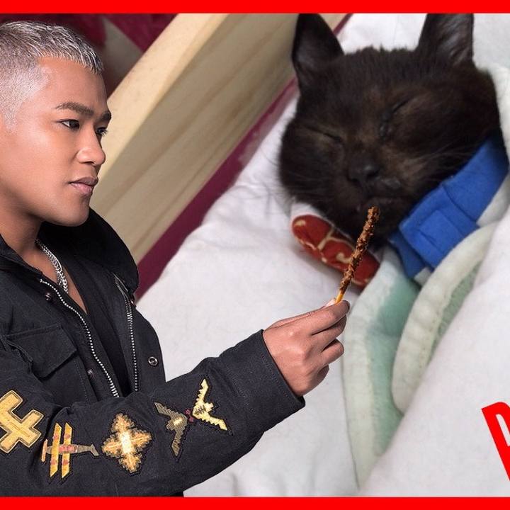 4a0b785a f730 4991 bd7a 4ec50cd0fd8e