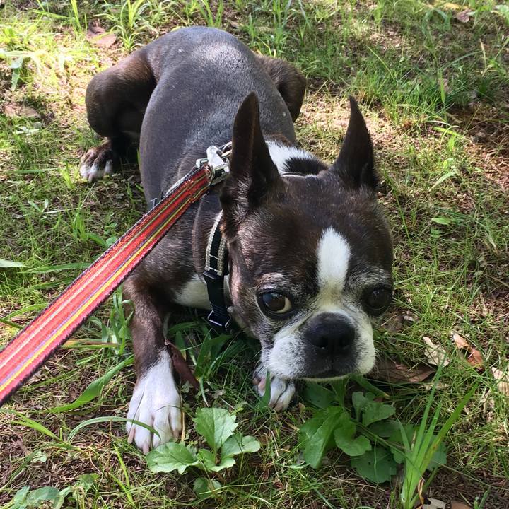 4a0d15e1 d351 4bc2 96e0 44fb4f66b126