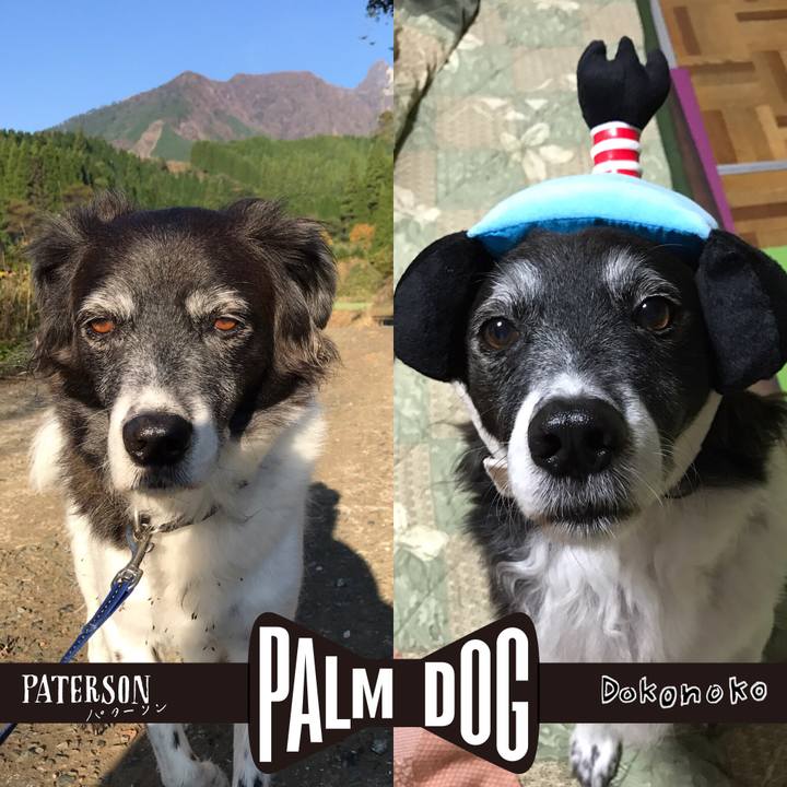 4a0d81fe 68f9 43a0 ace5 2a648999e69d