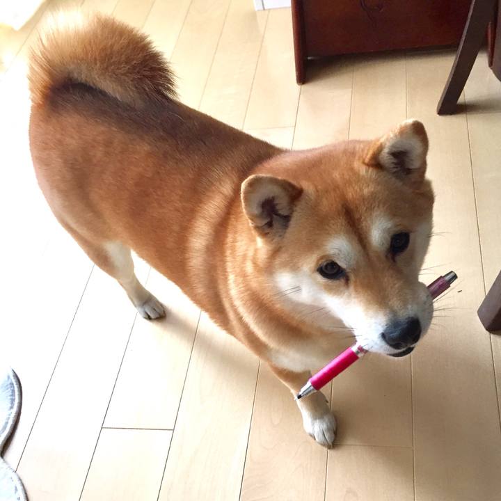 4a0dd886 a903 45a9 9f20 ac0b3ef95ed8