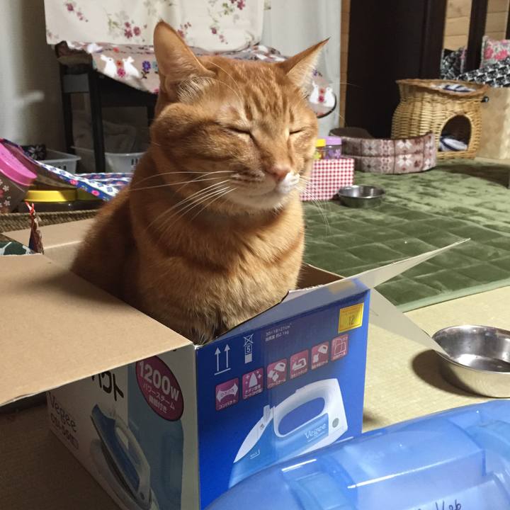 4a0f3be1 a455 499b a537 76c91be39aa3