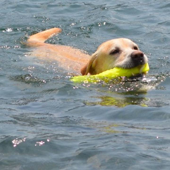 4a0f87a7 4f28 4917 aab6 0f8428e64fe5