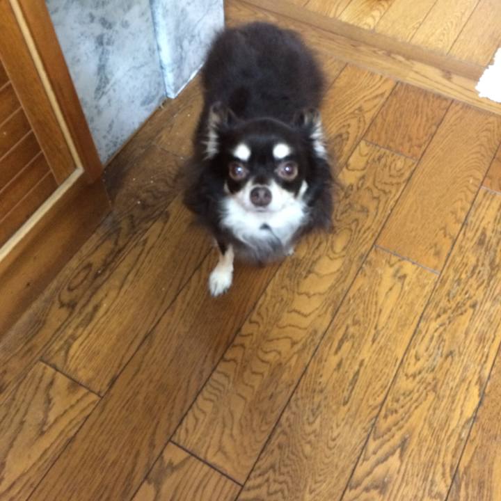 4a0f969c fc27 441c 86fe 30a5b5a21ea0