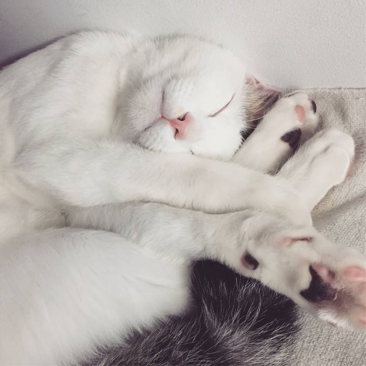 4a112947 ad6f 40e4 a878 9175bc52043f