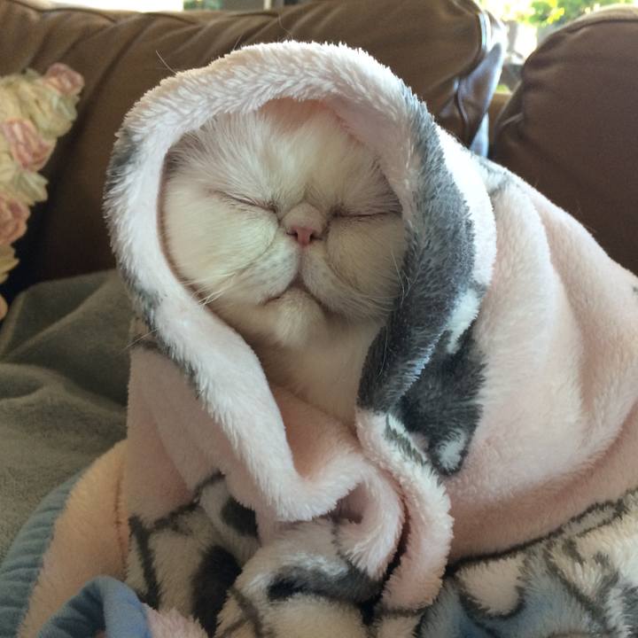 4a114187 3eff 41fb b8ce 5fb84971135b