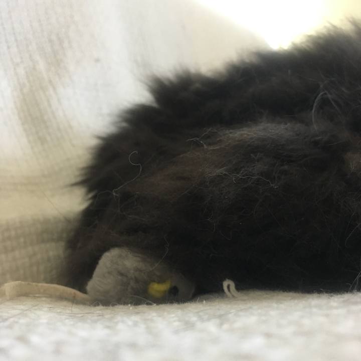 4a11bdcf f7b6 4ada 93ea 0e1d042e8ed2