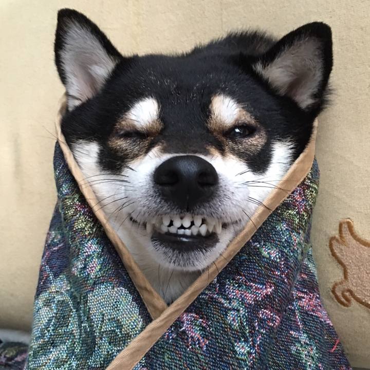 4a122732 d0d4 4408 9bc3 9521940045b2