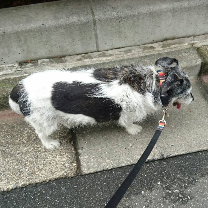 4a1247e4 eb07 4f9e b2bd f3a7f27e181e