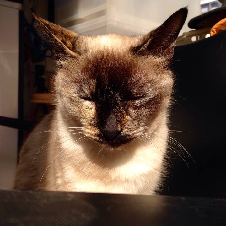 4a1324ad 0ff2 4da6 84b0 850783b44cd7