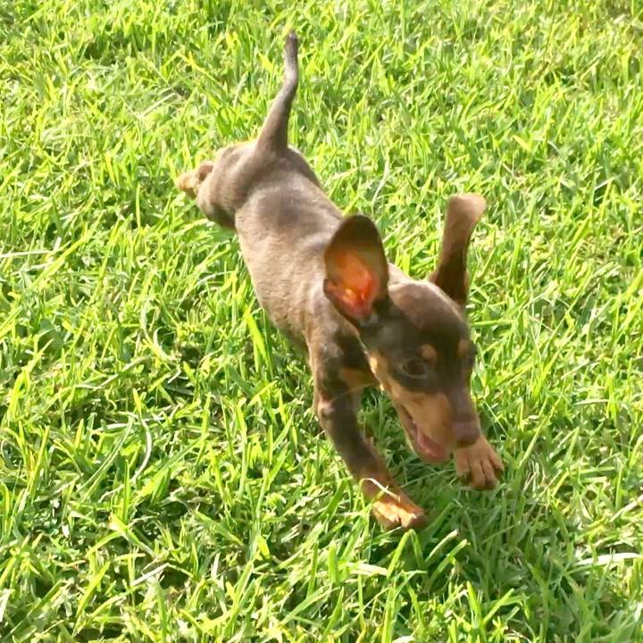 4a135691 027b 41ec b223 72e21cbcba9b