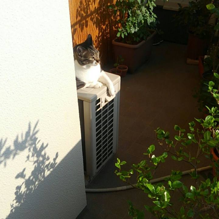 4a13634e 2992 4cf3 ab92 03f5b7ff6108