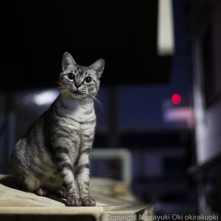 4a137719 016b 4922 b73a b5fc8720b5dc