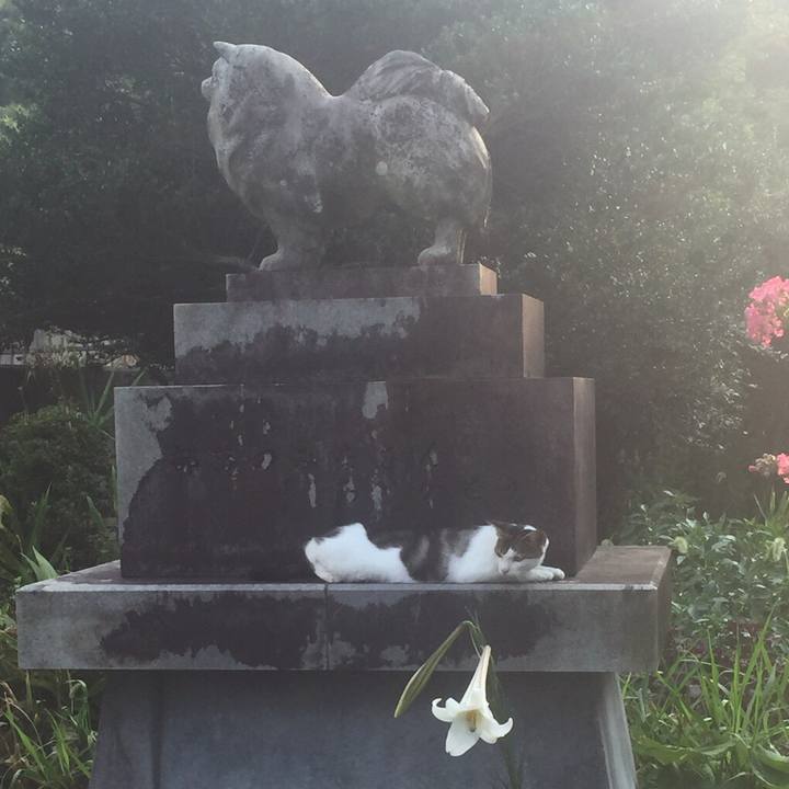 4a140640 c725 48ef b33e 0d381440508d